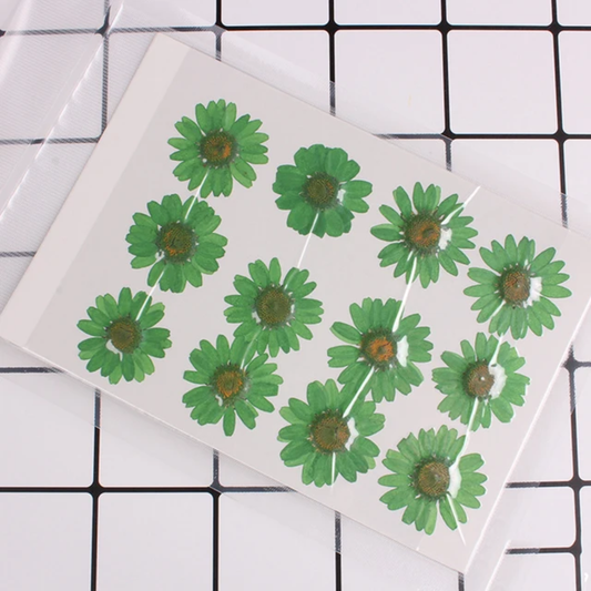 Pressed Flowers Single color pack